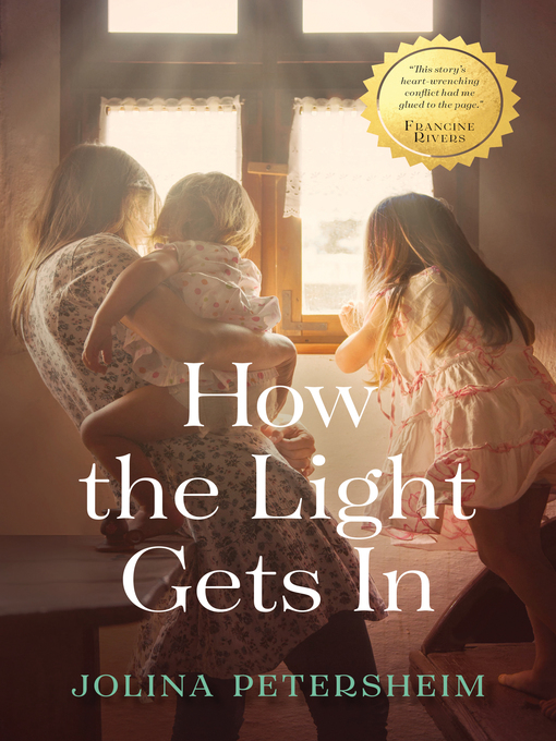 Cover image for How the Light Gets In